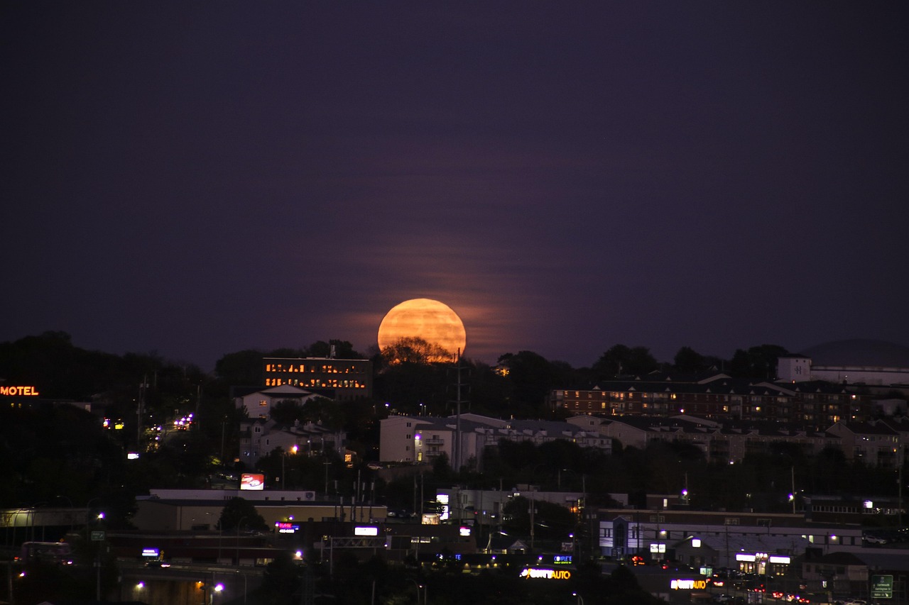 Seasonal City Skywatching: What to Look For Month by Month